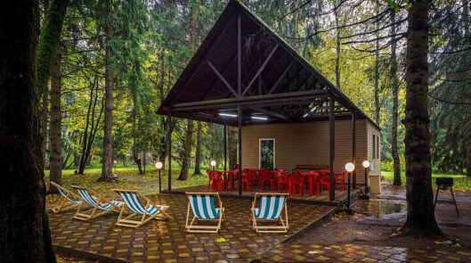 Лесная поляна